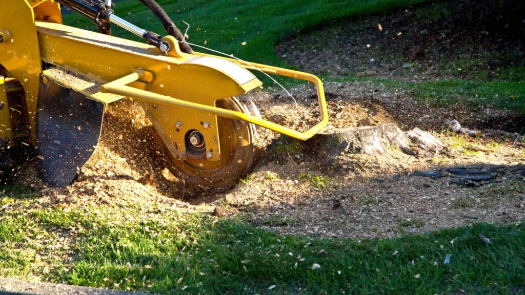 Stump Grinding